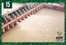 fiscalização de barragens em Rondônia previne desastres e protege meio ambiente e comunidades locais — Procuradoria-Geral da República