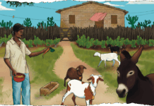 geraizeiros, vazanteiros e comunidades de fecho de pasto mantém preservado o sertão mítico brasileiro — Procuradoria-Geral da República