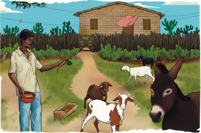 Arte: Comunicação/MPF Arte de comunidade tradicional. È possível ver um homem com uma cenoura que alimenta carneiros, ovelhas. Há um burro em primeiro plano. É possível ver um varal também. Ao fundo, uma cerca e uma casa.