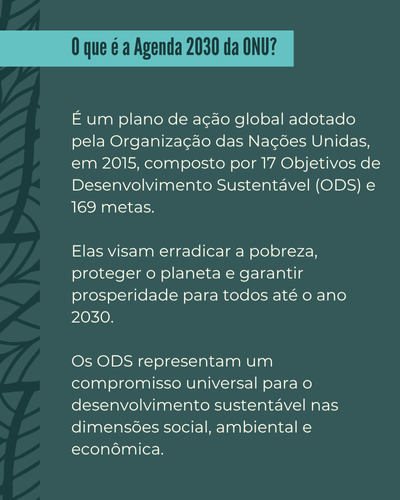 Box explicando o que é a Agenda 2030 da ONU
