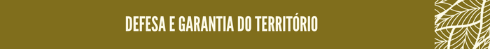 Defesa e garantia do território 