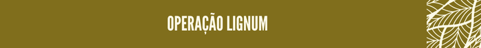 Operação Lignum 
