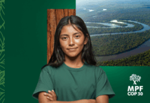 PFDC envia recomendação a ministros de Estado para garantir participação da sociedade civil na COP30 — PFDC