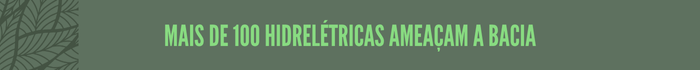 Mais de 100 hidrelétricas ameaçam a bacia