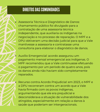 Assessoria Técnica e Diagnóstico de Danos: Um edital de chamamento público foi divulgado para a contratação de uma assessoria técnica independente, que auxiliaria os indígenas na negociação e no processo de reparação. O MPF e a DPU obtiveram uma decisão judicial para que a Vale mantivesse a assessoria e contratasse uma consultoria para elaborar o diagnóstico de danos.

Auxílio Emergencial: Um Termo de Ajuste Preliminar Extrajudicial (TAP-E) assegurou um pagamento mensal emergencial aos indígenas. O MPF recomendou que a Vale continuasse efetuando o pagamento por um período de quatro anos, pois os danos ainda não haviam sido completamente reparados.

Recurso contra Acordo Prejudicial: Em 2023, o MPF e a DPU recorreram contra um acordo que a Vale havia firmado com os povos indígenas, argumentando que ele era prejudicial e desconsiderava a situação de vulnerabilidade dos atingidos, especialmente em relação a danos à saúde que poderiam ser intergeracionais.