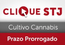 Prazo para regulamentação do cultivo medicinal da cannabis é prorrogado até 31 de março