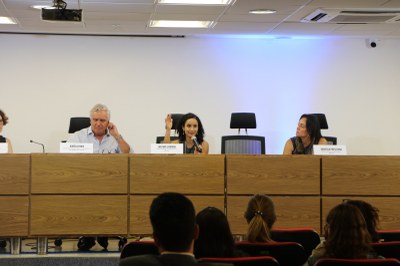 Apresentação 4ª CCR