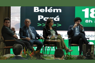 Foto de quatro debatedores sobre um palco