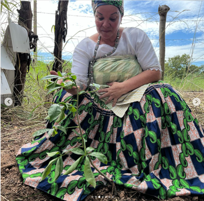 Mulher planta baobá 