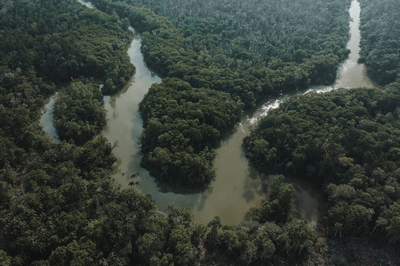 Foto aérea de região de floresta densa cortada por rio sinuoso