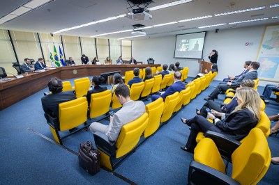 Fotos: Leobark Rodrigues/Secom/MPF Imagem do auditório da audiência pública com uma das participantes de pé se manifestando