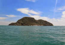 MPF aciona Justiça para remoção de animais e reparação ambiental na Ilha Feia, em Búzios (RJ) — Procuradoria da República no Rio de Janeiro