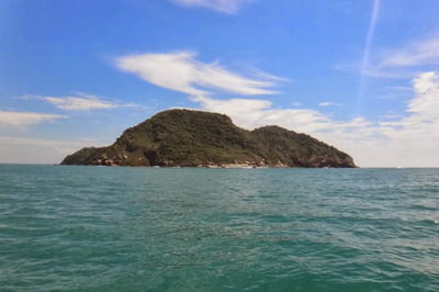 Vista da Ilha Feia, uma ilha montanhosa e coberta por vegetação verde densa, em meio ao mar agitado de tom azul-esverdeado. O céu é azul com algumas nuvens brancas esparsas.