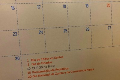 Imagem de um calendário de novembro de 2025 com o dia 20 em destaque