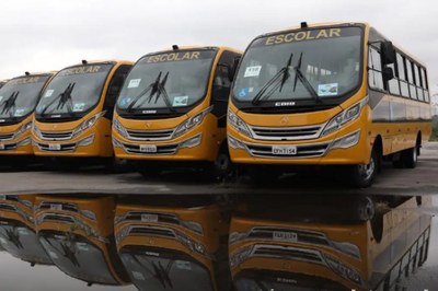 Imagem ilustrativa. Foto: Ministério da Educação (MEC). A imagem apresenta uma fileira de ônibus escolares amarelos de pequeno porte, estacionados em uma área externa que parece estar molhada, refletindo os veículos na superfície. Os ônibus são modernos, todos com a palavra "ESCOLAR" em destaque na parte superior do para-brisa. Cada veículo possui um adesivo com o número "116" e uma placa de identificação visível, como a "EFH 7154" no ônibus em primeiro plano à direita. O ambiente geral é um pátio, possivelmente de uma concessionária ou centro de distribuição, sob um céu nublado, enfatizando a cor vibrante dos veículos.