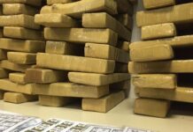 MPF obtém condenação de organização criminosa que tentou transportar 139 kg de cocaína do Amapá para Portugal — Procuradoria da República no Amapá