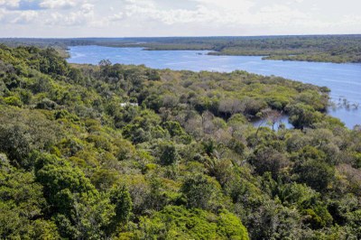 Foto aérea da Amazônia mostra a flores e o rio 