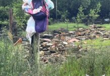 MPF participa de nova operação de fiscalização nos mangues de Paranaguá (PR) — Procuradoria da República no Paraná