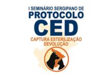 MPF promove I Seminário Sergipano de Protocolo CED com foco no manejo ético de cães e gatos — Procuradoria da República em Sergipe