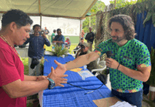 MPF promove ações de fiscalização e diálogo com as comunidades de Tonantins e Santo Antônio do Içá (AM) — Procuradoria da República no Amazonas