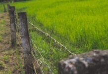 MPF recomenda ao Incra retomada do processo de regularização e destinação para reforma agrária de fazenda em RO — Procuradoria da República em Rondônia