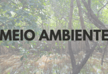 MPF recomenda medidas para cessar danos ambientais em manguezal no Município de Porto de Pedras/AL — Procuradoria da República em Alagoas