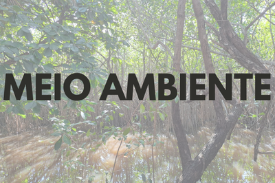 Imagem - Comunicação MPF/AL Imagem mostra o Mangue Alagoano com o texto MEIO AMBIENTE