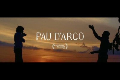 Ao pôr do sol, as silhuetas de duas pessoas. Uma à esquerda e outra à direita com braços erguidos. No centro, o título "Pau d’Arco" em branco.