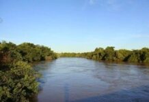 MPF/MS ingressa com Ação Civil Pública de R$ 300 milhões devido a contaminação do Rio Dourados por agrotóxico — Procuradoria da República em Mato Grosso do Sul