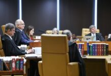 STF invalida lei do Rio de Janeiro que previa transporte gratuito de animal de serviço ou de assistência emocional em aviões — Procuradoria-Geral da República