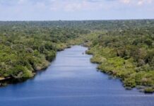 Tratado internacional que garante maior proteção socioambiental é aprovado pela Câmara dos Deputados — Procuradoria-Geral da República