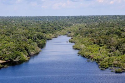 Foto: Divulgação/ Agência Brasil Imagem de rio com arvores verdes em volta e céu claro
