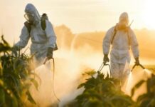 FMTCIA realiza última reunião do ano na sede do MPF/MT — Ministério Público Federal em Mato Grosso