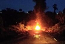 Justiça Federal aceita denúncias do MPF contra organização descoberta após agressão a fiscal do Ibama no Pará — Procuradoria da República no Pará