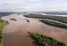 Justiça Federal atende MPF e ordena revisão urgente do fluxo de água da UHE de Belo Monte (PA) — Procuradoria da República no Pará