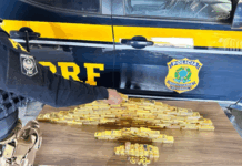 Justiça Federal condena empresário por transportar 103kg de ouro ilegal em Roraima — Procuradoria da República em Roraima