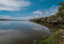 MPF busca medidas urgentes para evitar rompimento de barreira entre o Rio Madeira e o Lago Maravilha, em Rondônia — Procuradoria da República em Rondônia
