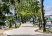 MPF e MP/AL acompanham evolução das obras de mobilidade urbana previstas em acordo judicial com Braskem — Procuradoria da República em Alagoas