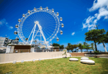 MPF e Prefeitura de Maceió discutem deslocamento de equipamentos do entorno da roda-gigante — Procuradoria da República em Alagoas