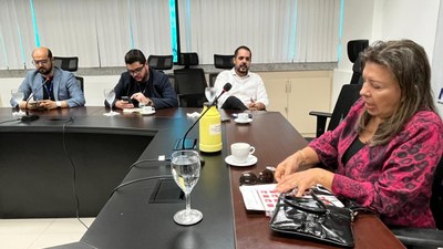 Reunião Roda Gigante