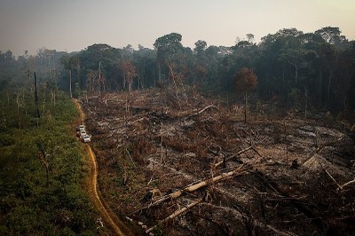 Área de floresta derrubada e queimada, vista em zona rural do Amazonas. Foto: Bruno Kelly/Amazônia Real CC Área de floresta derrubada e queimada e vista na zona rural do município de Apuí, Amazonas