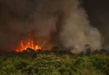 MPF firma acordo para garantir o uso da Calculadora de Carbono em ações sobre danos climáticos — Procuradoria-Geral da República