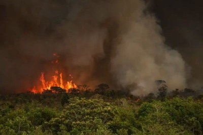 Foto: Divulgação/ Agência Brasil imagem de floresta em chamas com fumaça escura subindo