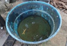 MPF pede à Justiça que Belo Monte forneça água potável às famílias da Volta Grande do Xingu (PA) — Procuradoria da República no Pará