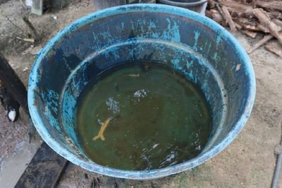 Foto: parecer técnico MPF Foto em ângulo alto de um recipiente plástico azul e desgastado contendo água escura e turva. O chão ao redor é de terra