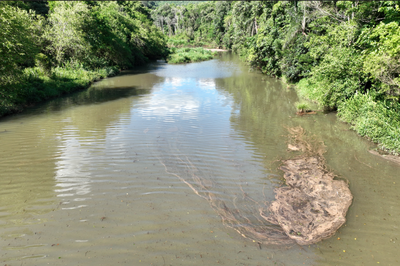 Foto de rio de água barrenta e turva correndo entre margens com vegetação verde densa, em um ambiente natural.