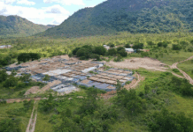 MPF recomenda acordo internacional e remediação urgente de áreas contaminadas por cianeto na Terra Indígena Raposa Serra do Sol em Roraima — Procuradoria da República em Roraima