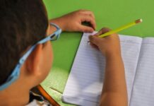 MPF recomenda adesão do estado do Acre e municípios ao novo Plano de Ações Articuladas do MEC — Procuradoria da República no Acre