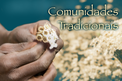 Arte: Comunicação/MPF Arte retangular com a foto de uma mão com flores sempre viva. Em letras beges a expressão Comunidades Tradicionais.