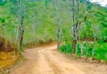 MPF recomenda que Incra construa estrada no assentamento Massangana, em Monte Negro (RO) — Procuradoria da República em Rondônia